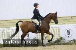 24R13_12914 thumbnail