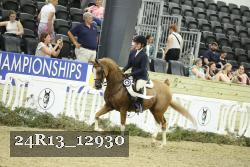 24R13_12930 thumbnail