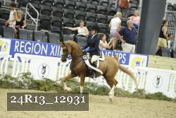24R13_12931 thumbnail