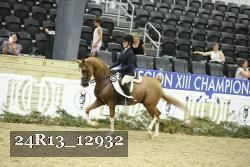 24R13_12932 thumbnail