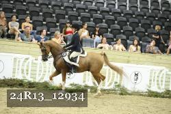 24R13_12934 thumbnail