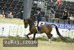 24R13_12936 thumbnail