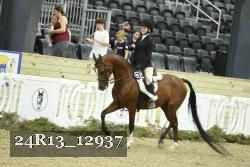 24R13_12937 thumbnail