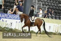 24R13_12938 thumbnail