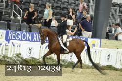 24R13_12939 thumbnail