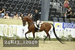 24R13_12940 thumbnail