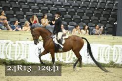 24R13_12941 thumbnail