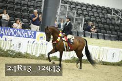 24R13_12943 thumbnail
