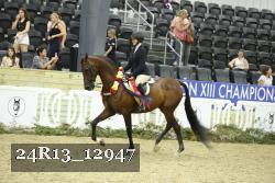 24R13_12947 thumbnail