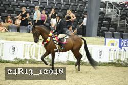 24R13_12948 thumbnail