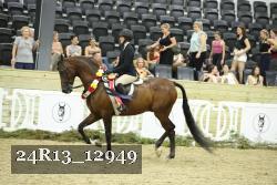 24R13_12949 thumbnail