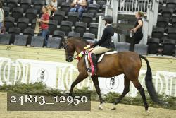 24R13_12950 thumbnail