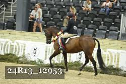 24R13_12953 thumbnail