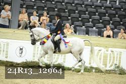 24R13_12964 thumbnail