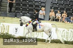 24R13_12965 thumbnail