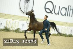 24R13_12983 thumbnail