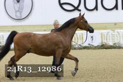 24R13_12986 thumbnail