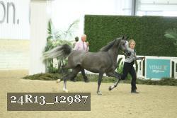 24R13_12987 thumbnail