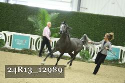 24R13_12989 thumbnail
