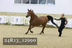 24R13_12990 thumbnail