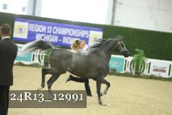 24R13_12991 thumbnail