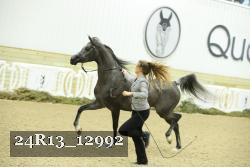 24R13_12992 thumbnail
