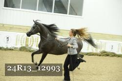 24R13_12993 thumbnail