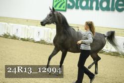 24R13_12994 thumbnail