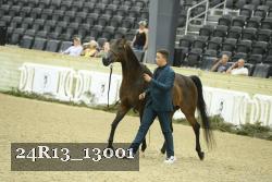 24R13_13001 thumbnail