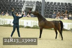 24R13_13002 thumbnail