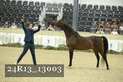 24R13_13003 thumbnail