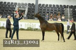 24R13_13004 thumbnail