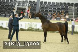 24R13_13006 thumbnail