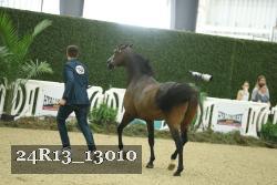 24R13_13010 thumbnail