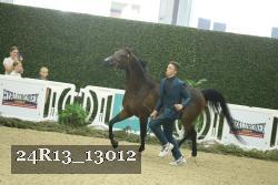 24R13_13012 thumbnail