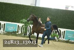 24R13_13013 thumbnail