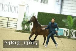 24R13_13015 thumbnail