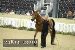 24R13_13019 thumbnail