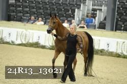 24R13_13021 thumbnail