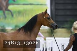 24R13_13026 thumbnail