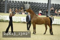 24R13_13027 thumbnail