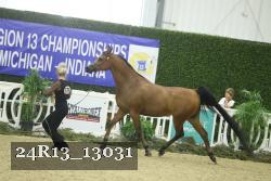 24R13_13031 thumbnail