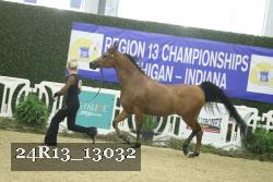 24R13_13032 thumbnail