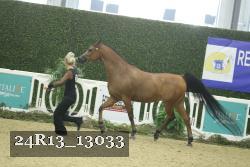 24R13_13033 thumbnail