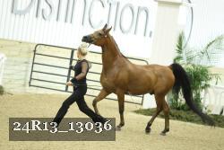 24R13_13036 thumbnail