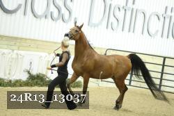 24R13_13037 thumbnail