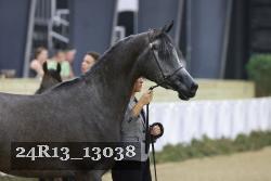 24R13_13038 thumbnail
