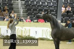 24R13_13039 thumbnail