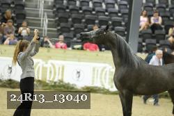 24R13_13040 thumbnail