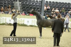 24R13_13041 thumbnail